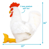 A white plush chicken toy with a red comb and wattle, yellow beak and feet, shown on a white background with blue dimension arrows indicating 16 inches tall and 13 inches wide. Blue text reads 'I have premium soft fur!'.