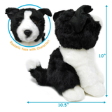 Black and white plush dog toy shown from the back with dimension arrows indicating 10.5 inches wide and 10 inches tall, plus a circular inset of the realistic dog face with the text 'Realistic Face with Character!'.