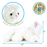White plush kitten toy shown on a white background with dimension arrows indicating 13 inches long and 6 inches high, plus a circular inset of the realistic face and a Tiger Tale Toys logo.