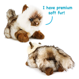A plush cat toy shown from two angles on a white background, with blue text reading 'I have premium soft fur!'. The toy has fluffy white, brown, and gray fur with dark brown paws and tail tips.