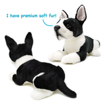Two Boston Terrier plush toys on a white background, one facing away showing the back and the other facing forward showing the face. A blue text bubble says 'I have premium soft fur!'.