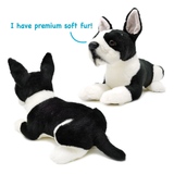 Two Boston Terrier plush toys on a white background, one facing away showing the back and the other facing forward showing the face. A blue text bubble says 'I have premium soft fur!'.