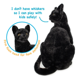 Black plush cat toy shown from the back on a white background, with a circular inset of the foam face and blue/orange marketing text describing features.