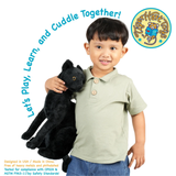 A young boy wearing a light sage green polo shirt and blue jeans holds a black plush cat toy. The image features promotional text 'Let's Play, Learn, and Cuddle Together!' and a 'Tiger Hart Toy' logo on a white background.