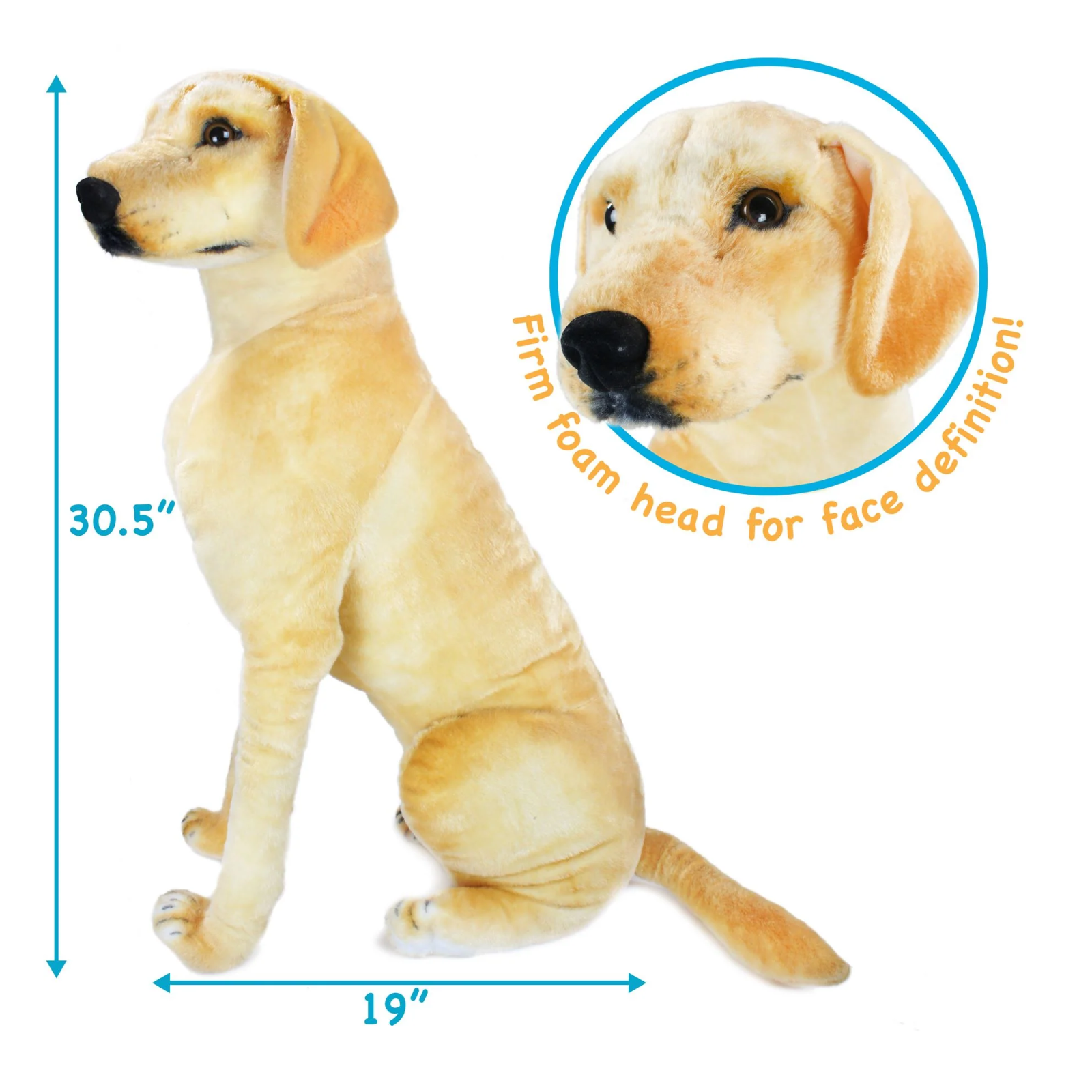 A yellow Labrador retriever plush toy shown seated on a white background with blue dimension arrows indicating 30.5 inches tall and 19 inches wide.