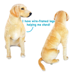 A plush dog toy shown from the front and back on a white background, with blue text reading 'I have wire-framed legs helping me stand!' near the front view.
