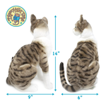 A cat-shaped plush toy shown from the back in two size views with blue dimension arrows and labels reading 14 inches tall, 9 inches wide, and 6 inches deep.