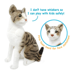 A plush toy cat with white and brown tabby coloring, shown on a white background with printed marketing text and a callout circle highlighting the foam head.