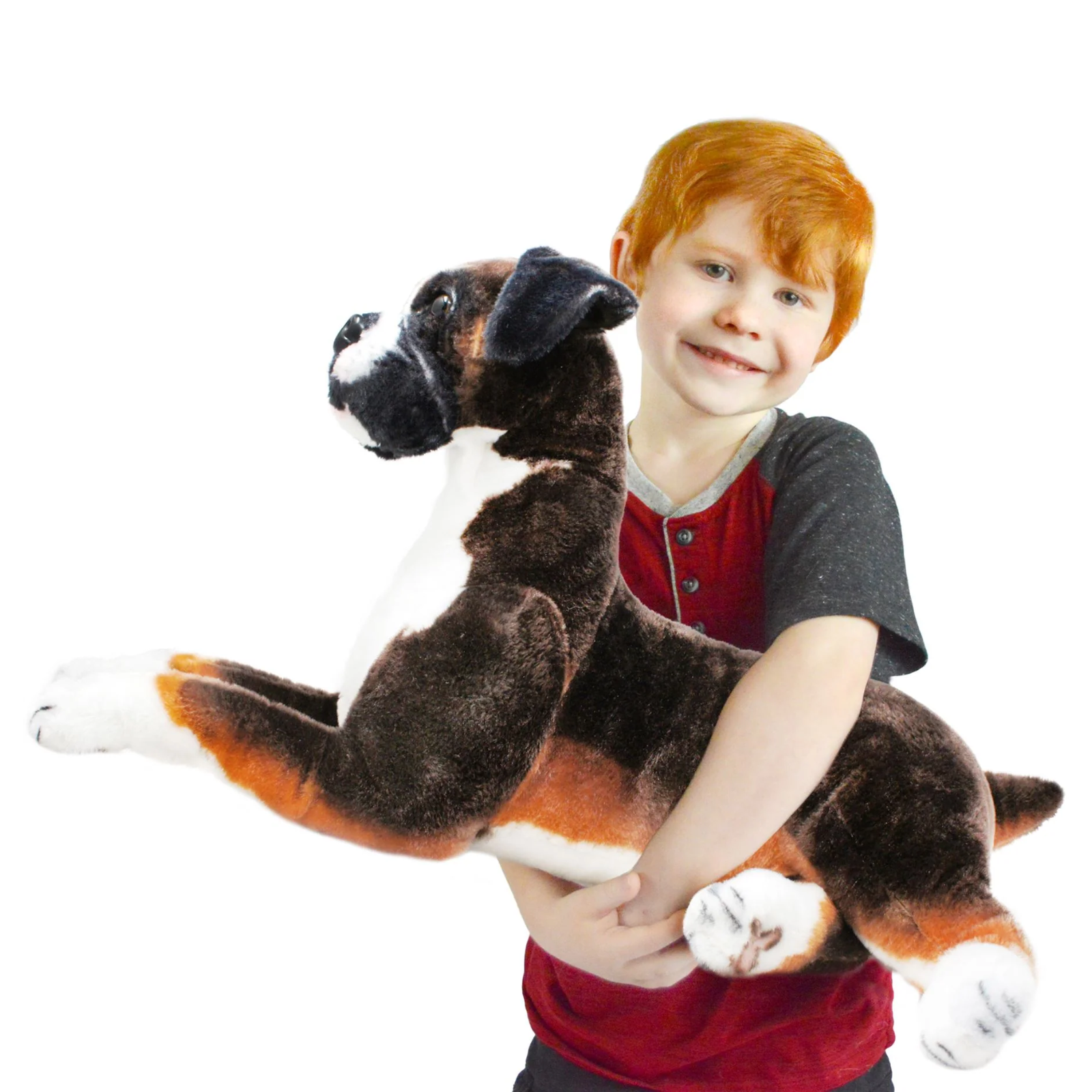 A young boy holds a large plush Boxer dog toy what is brown, tan, black, and white.