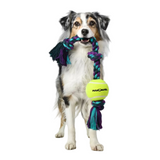 A long-haired Australian Shepherd dog stands on a white studio background holding a braided rope dog toy with a tennis ball in its mouth. The toy is braided in teal, purple, and blue with dark purple tassels, and the tennis ball is bright yellow with black text that reads 'Mammoth'.