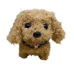 A small curly-haired dog toy or plush dog in light tan and brown, wearing a black collar with a gold buckle, isolated on a white background.