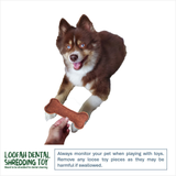 Bark Bow Loofah Dental Dog Toy Bone Large