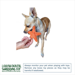 A small tan and white dog stands on a white background while a human hand holds an orange star-shaped toy near its mouth. A green and black 'Loofah Dental Shredding Toy' logo appears in the lower left, with a warning text box at the bottom right.