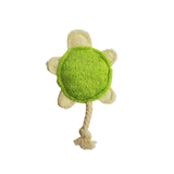 A plush turtle-shaped dog toy with a bright green textured center, cream-colored textured shell edges, and a natural beige rope tail, shown on a plain white background.