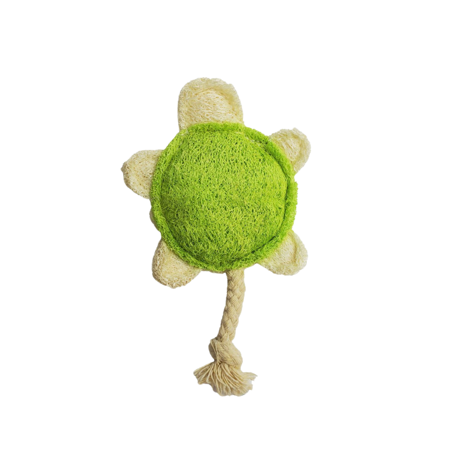 A plush turtle-shaped dog toy with a bright green textured center, cream-colored textured shell edges, and a natural beige rope tail, shown on a plain white background.