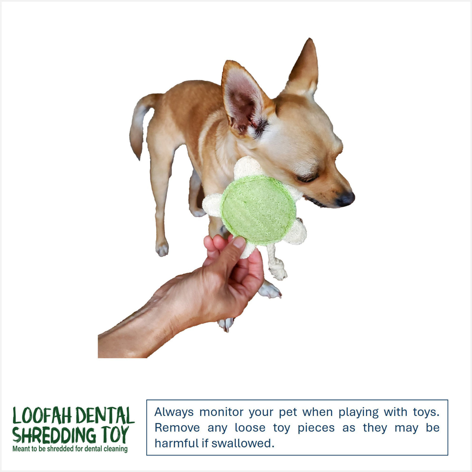 A small tan dog is shown holding a green plush dog toy with white accents, while a human hand offers another view of the toy. The image includes the brand name 'LOOFAH DENTAL SHREDDING TOY' and a warning text box at the bottom.