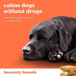Black dog lying down with 'heavenly hounds' product on an orange background
