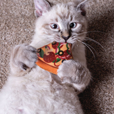 A fluffy light gray cat lying on a carpeted floor and holding a colorful fabric toy shaped like a slice of pizza with its paws.