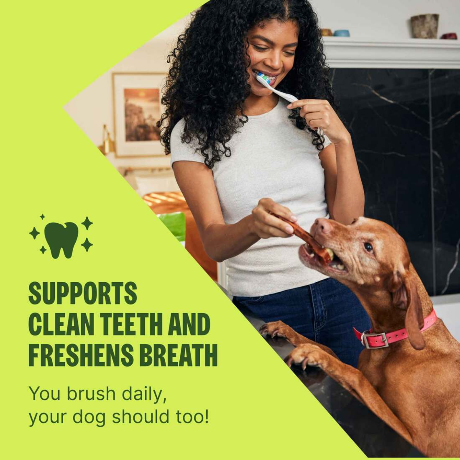 Woman brushing her dog's teeth with a green background and text about dental care.