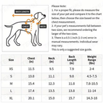 Dog collar size chart with a line drawing of a dog showing back length, chest, and neck measurements, plus a sizing table listing sizes XS through XL with corresponding measurements and weight ranges.