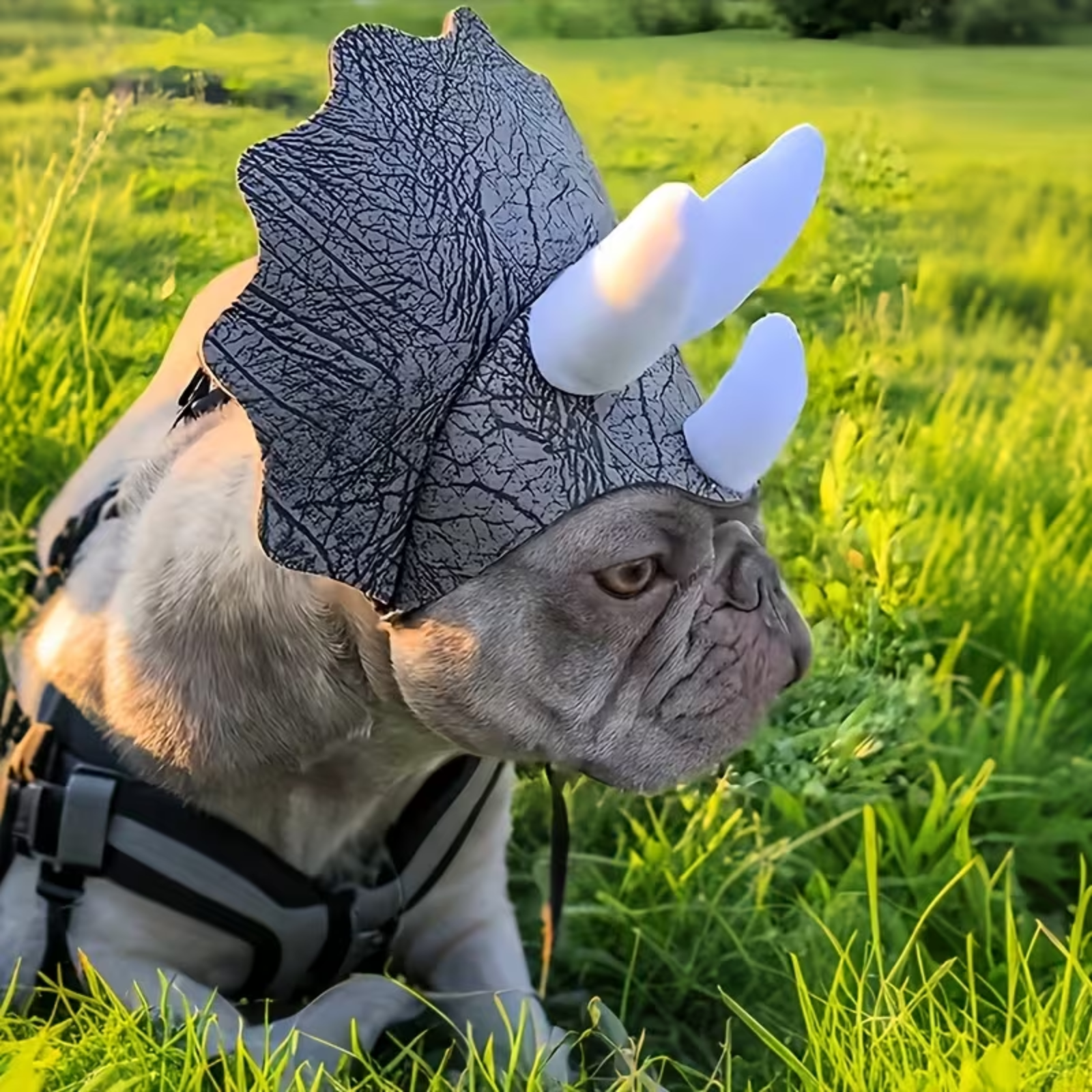 Dog wearing a triceratops helmet in a grassy field