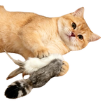 A golden cat lying on a white background, playfully biting a small plush toy with a gray and white striped body and a fluffy white tail.