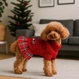 A standing dog wearing a red knitted dress with red and white plaid hem. The dress has a plaid bow with a rhinestone in the center.