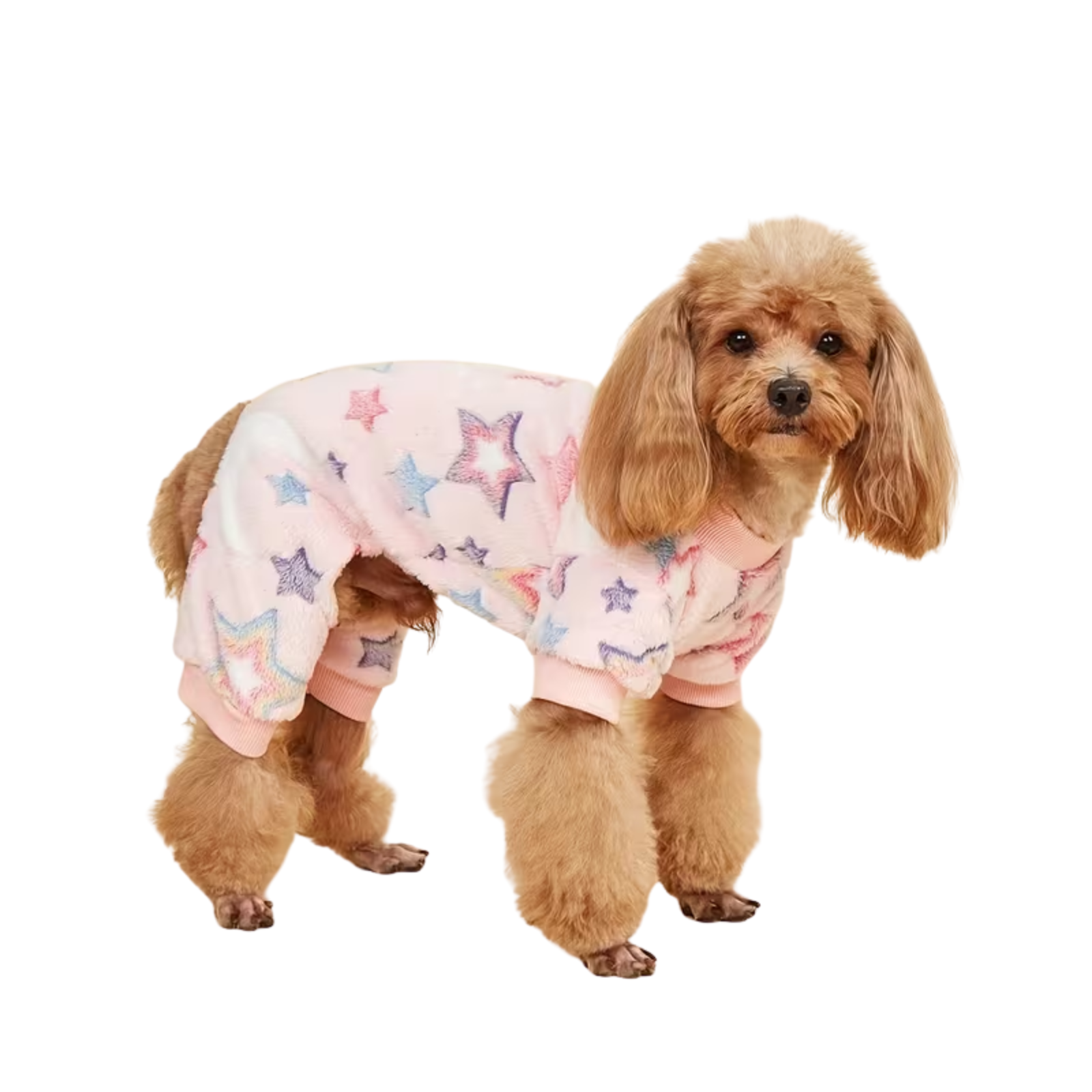 A dog wearing plush pink pet pajamas with stars and moons against a white background.
