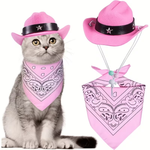 A gray cat wearing a pink cowboy hat and matching pink bandana, shown beside the same hat and bandana displayed on a white background.