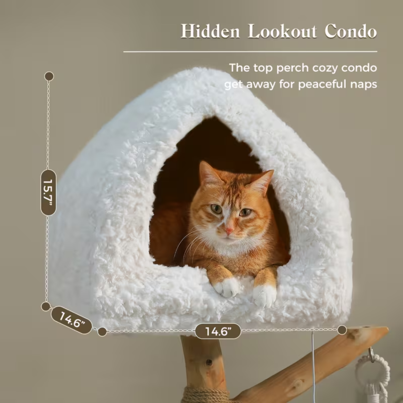 Cat sitting in a white cozy cat house with dimensions displayed, on a beige background.