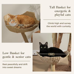 Two product photos showing a woven cat basket perch mounted on a wooden post, with text labels for Tall Basket and Low Basket and size measurements overlaid. An orange cat is shown resting in the tall basket, and a black cat is shown resting in the low basket.