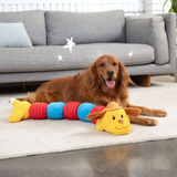 Dog lying on a rug with a colorful toy in front of a gray sofa.