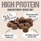 A promotional graphic for pet food showing a pile of brown kibble pieces on a light beige background with large text reading 'HIGH PROTEIN AND NUTRIENT-DENSE DIET,' a '34% PROTEIN' label, and callouts for premium meat and fish, grain-free formula, and optimal health nutrition.