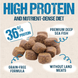 Dog food product with text highlighting high protein content and nutrient-dense diet on a beige background.