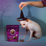 A small white dog sits on a blue studio background while a human hand holds a black witch hat above its head. A purple bag of round-baked treats and several treats are placed on the floor.