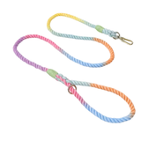 Ombre Colorful Leash 5ft