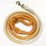 Ombre Colorful Leash 5ft