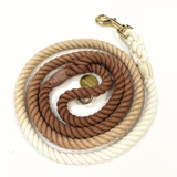 Ombre Colorful Leash 5ft