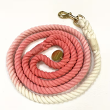 Ombre Colorful Leash 5ft