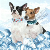 Dog Cooling Collar Retro Blue Green