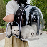 Adjustable Backpack Large Window Pet Carrier Black