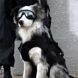 UV Wind Protection Dog Goggles Black
