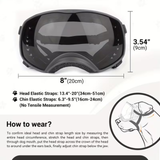 UV Protect Dog Goggles Flat Top with Case