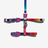 Zee Prisma Cat Harness with Leash