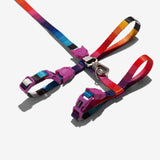 Zee Prisma Cat Harness with Leash