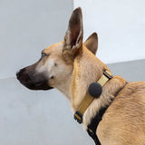 Zee Gotham AirTag Holder