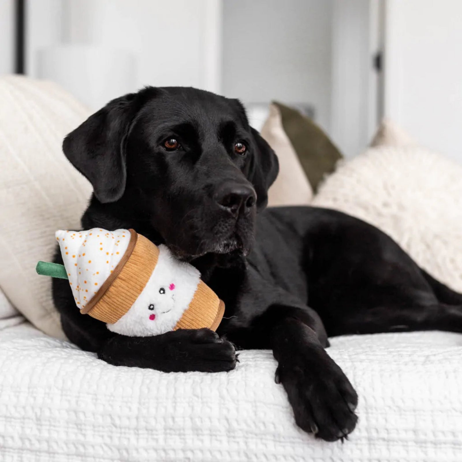 Black dog lying on a couch with a plush toy resembling a ice cream cone.