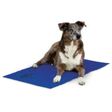 K&H Coolin Pet Pad :