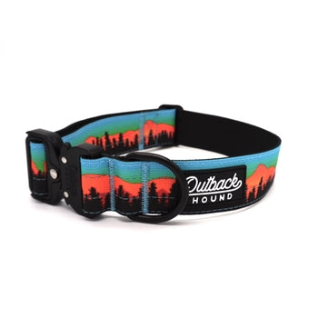 Sunset Trail Hound Dog Collar