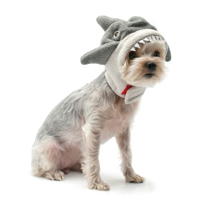 DOGO Shark Hat Gray